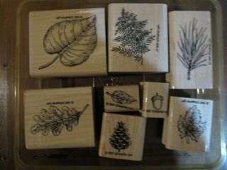 Fantastic Foliage Wood - Mount Rubber Stamp Set (8) - Stampin ' Up RARE 2