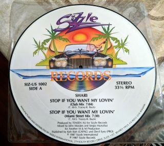 Rare Freestyle 12 " Pic Disc - Shari - Stop If You Want My Lovin 