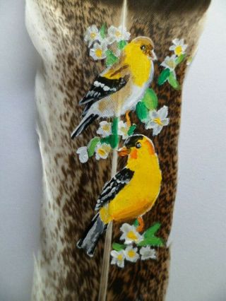 Finches - Hand Painted Rare Turkey Feather,  By Artist W.  W.  Hoffert