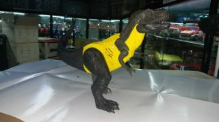 2000 Hasbro Jurassic Park 3 T - Rex Dinosaur Test Shot Prototype Factory Sample