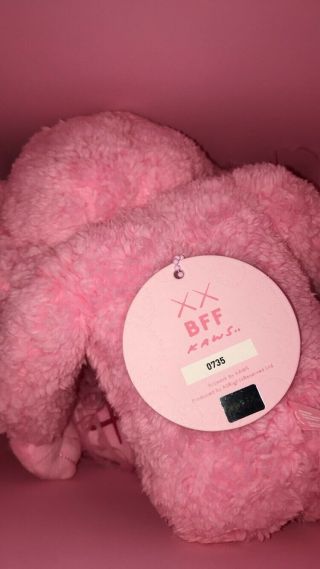 IN HAND KAWS BFF Pink Plush 2019 Release LE 3000 0735 100 Authentic 2