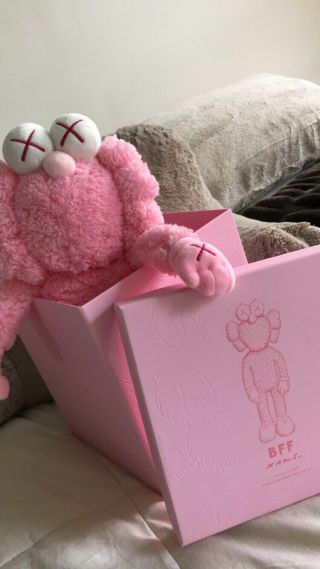 IN HAND KAWS BFF Pink Plush 2019 Release LE 3000 0735 100 Authentic 4