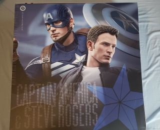 Hot Toys Captain America/Steve Rogers Winter Soldier 2 Pack MMS243 Complete 6