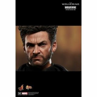 Hot Toys 1/6 X - Men The Wolverine Samurai Hugh Jackman MMS220 Action Figure EMS 2