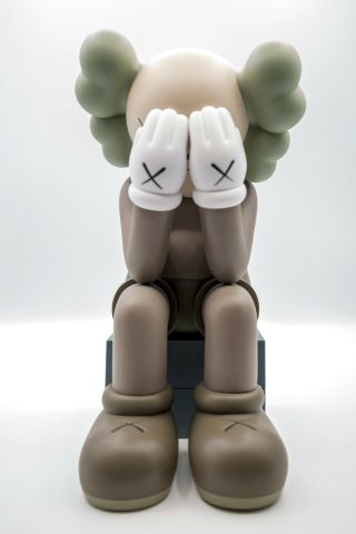 Kaws Passing Through Brown Figure Authentic From Artists Site Kaws Companion