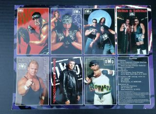 NWO WWE HOLLYWOOD HOGAN,  NASH & HALL 9 JAKKS SET WITH 1998 OFFICIAL NWO CALENDAR 6