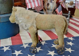 Antique Steiff Mohair Lion on Wheels Pull Toy C 1909 w/ Button 5