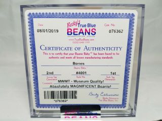Authenticated Ty Beanie Baby Bones Rare 2nd / 1st Gen Tag MWMT - MQ 3