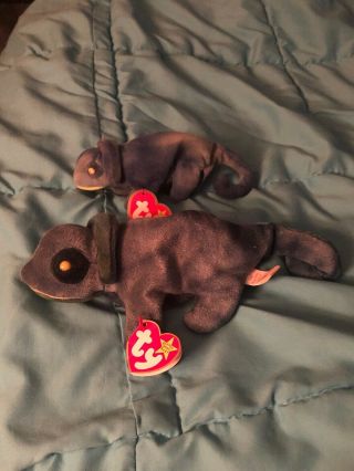 Rainbow And Iggy Beanie Baby With Tags October 14 1997