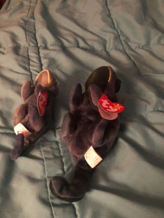 Rainbow And Iggy Beanie Baby With Tags October 14 1997 3