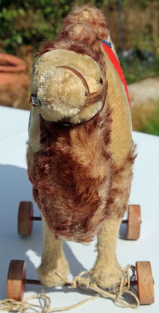 Steiff Camel 28cm 1328 1929 - 35 With Ff Button
