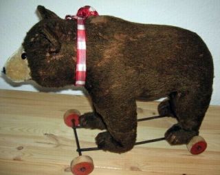 1920 Steiff 20 " Bear On Wheels With Ear Button " Long Trailing F " - Rare Antique