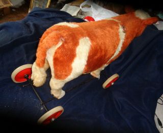 Steiff Germany cow or steer pull toy Signed on wheel 3