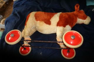 Steiff Germany cow or steer pull toy Signed on wheel 4