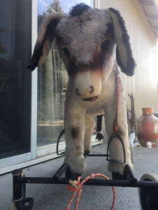 Vintage Steiff Donkey,  Horse On Wheels 6