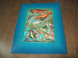 Liberty Wooden Puzzle - Fishes Of The Deep