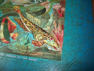 Liberty Wooden Puzzle - Fishes of the Deep 2