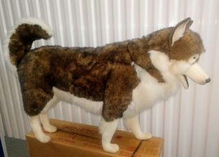 Hansa Huge Large Big Jumbo Life Size Husky Dog Plush Stuffed Animal Soft Toy