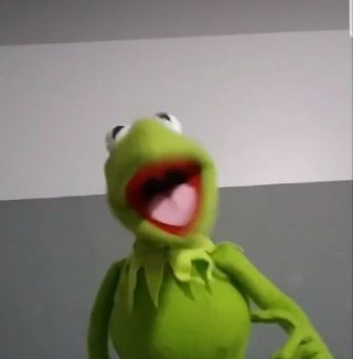 Professional Puppet Muppet Kermit 2