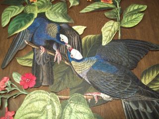 Liberty Wooden Puzzle - White - Crowned Pigeon 2