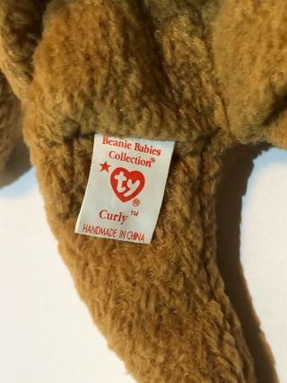 Ty Beanie Baby - Curly - Extremely Rare Surface Sticker - Many Errors 5