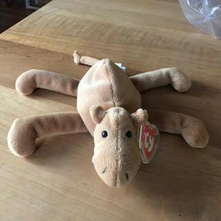 Ty Beanie Baby Humphrey Camel 3rd Gen Hang 1st Gen Tush Auth By Peggy Gallagher