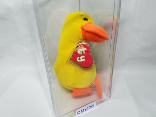 Authenticated Ty Beanie Baby Wingless Quackers Without Wings 1st/1st Gen Mwnmt