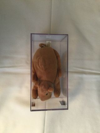 RARE and Retired Humphrey Beanie Baby - - AUTHENTICATED 2