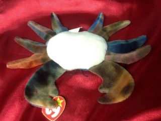 ❤️MOST RARE❤️ (19 Errors,  NO Star,  Waterlooville) CLAUDE the Crab Ty Beanie Baby 8