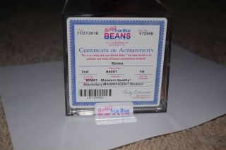 MWMT MQ Authenticated TY beanie baby Bones 2nd 1st gen True Blue Beans 2