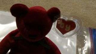 TY beanie baby Cranberry Face Teddy Bear 2nd hang 1st gen tush tags 3