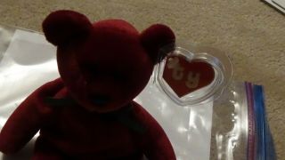 TY beanie baby Cranberry Face Teddy Bear 2nd hang 1st gen tush tags 4