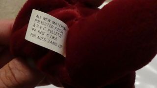 TY beanie baby Cranberry Face Teddy Bear 2nd hang 1st gen tush tags 8