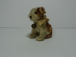 Steiff Stuffed Dog " Molly " With Ribbon And Bell Miniature 1940s