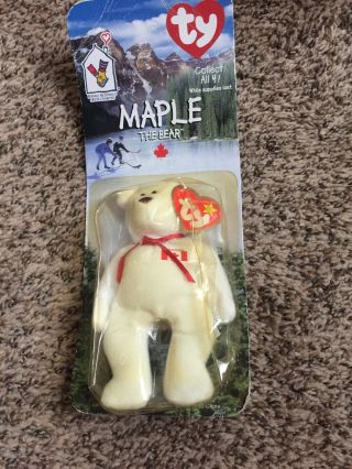 Maple The Bear