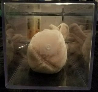 1st Gen Tan Inky No Mouth Beanie Baby 