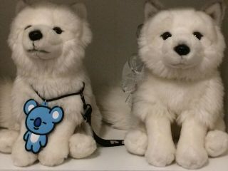 Webkinz Signature Arctic Fox 2 More Available Message Me For A Particular Fox :3