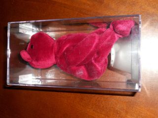 Authenticated TY Beanie Baby - OLD FACE CRANBERRY TEDDY 1st Gen Tush NO SWING 4