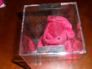 Authenticated TY Beanie Baby - OLD FACE CRANBERRY TEDDY 1st Gen Tush NO SWING 5
