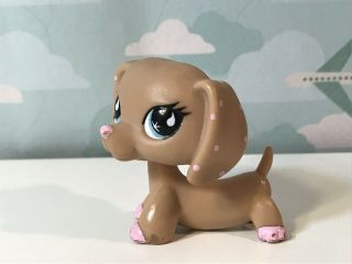 Authentic Littlest Pet Shop - Hasbro LPS - DACHSHUND DOG 909 3