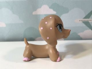 Authentic Littlest Pet Shop - Hasbro LPS - DACHSHUND DOG 909 4
