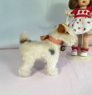 Steiff Foxy Terrier Dog ALL ID ' s Perfect for a Ginny or Muffie Doll 3