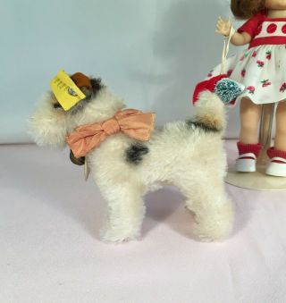 Steiff Foxy Terrier Dog ALL ID ' s Perfect for a Ginny or Muffie Doll 4