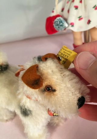 Steiff Foxy Terrier Dog ALL ID ' s Perfect for a Ginny or Muffie Doll 5