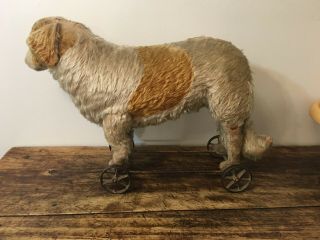 Antique Steiff St Bernard Mohair Straw Stuffed Dog On Wheels Pull Toy