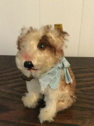 Vintage Steiff Molly Dog Mohair Yellow Tag And Button 1949 - 1958 Measures 10cm