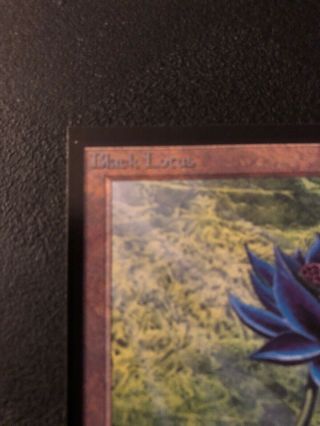 1x MTG Magic The Gathering Black Lotus Collector ' s Edition SP Nm - 8