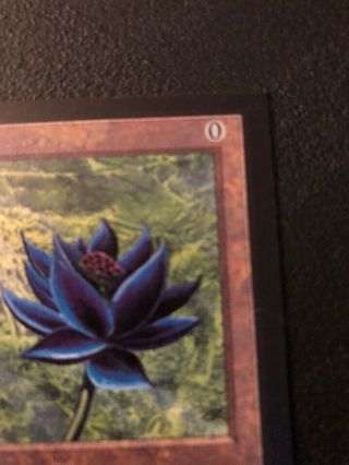1x MTG Magic The Gathering Black Lotus Collector ' s Edition SP Nm - 9