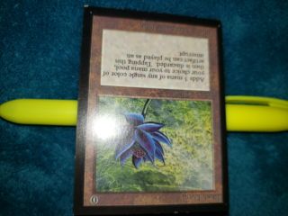 Black Lotus x 1 (Collector ' s Edition) MTG CE (Very Light Play) Power 9 See Scans 5