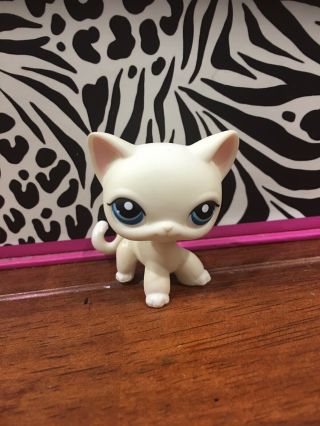 Authentic Littlest Pet Shop - Hasbro Lps - Shorthair Cat 410